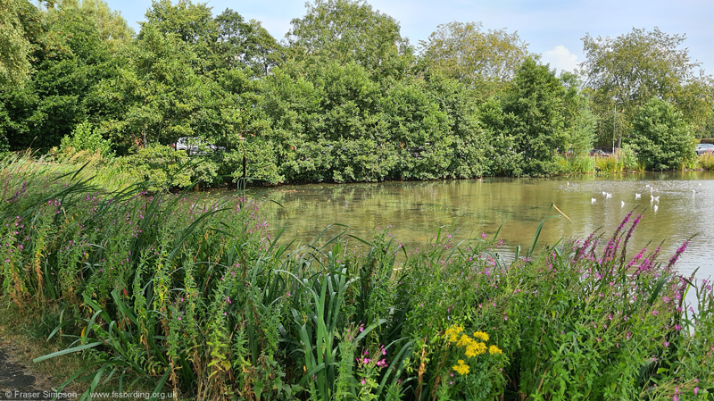 Kay Park pond, Kilmarnock, Ayrshire, Scotland � Fraser Simpson