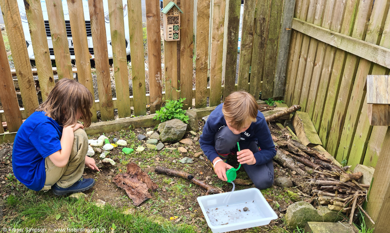 Young entomologists in the garden � Fraser Simpson