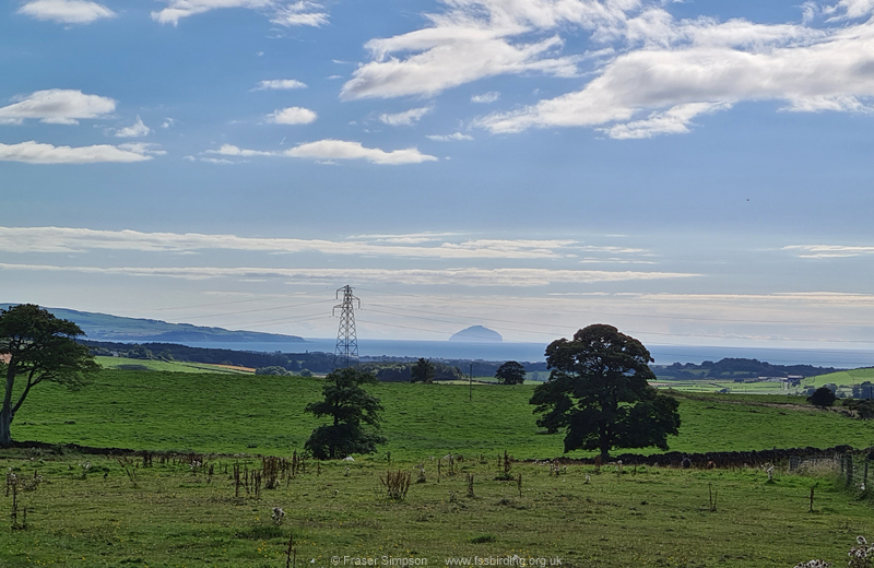 Ailsa Craig from Craigie Hill � Fraser Simpson