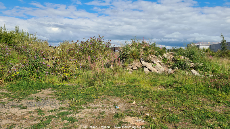 Brownfield site, Kilmarnock, Ayrshire, Scotland � Fraser Simpson
