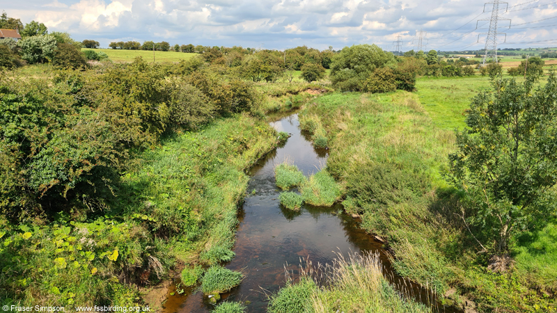Cessnock Water from Hurlford-Galston disused railway line � Fraser Simpson