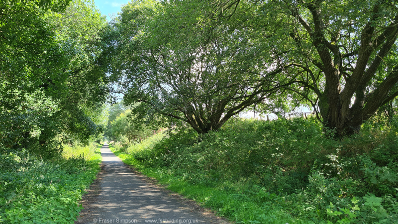 Hurlford-Galston disused railway line � Fraser Simpson
