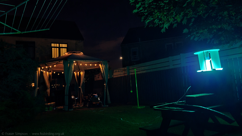 Garden mothing with a 20W Actinic Heath moth trap � Fraser Simpson 