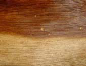 Dried Banana Leaf, Peru