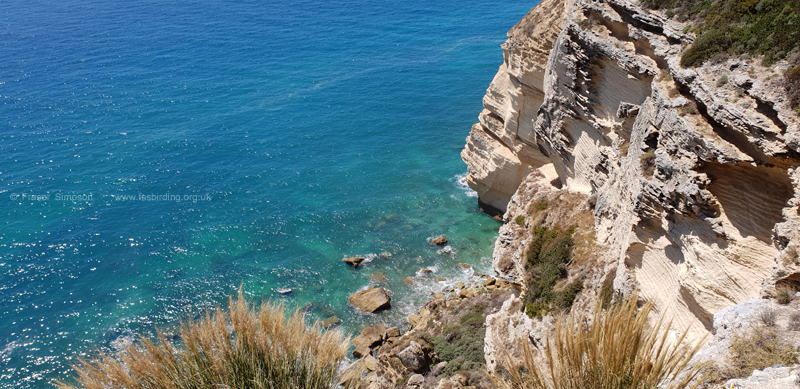 Cliffs below Torre del Tajo, Barbate � Fraser Simpson