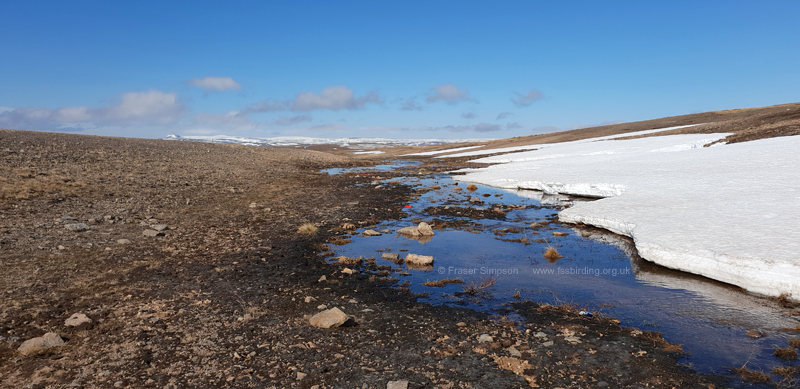 B�tsfjordfjellet � Fraser Simpson