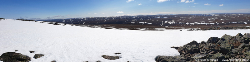 B�tsfjordfjellet � Fraser Simpson