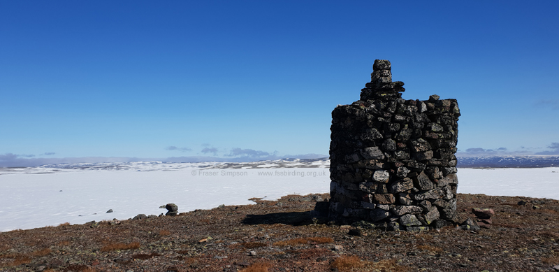 B�tsfjordfjellet � Fraser Simpson