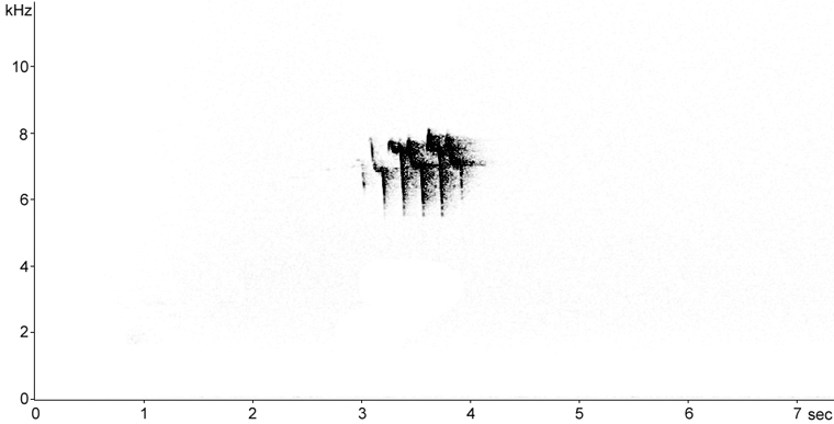 Sonogram of Bay-breasted Warbler song