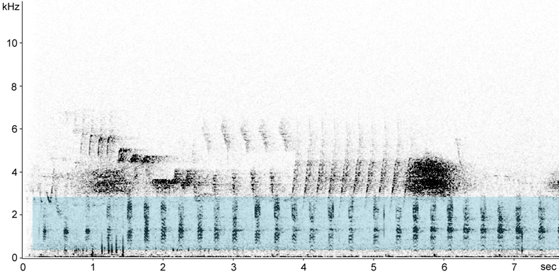Sonogram of Bean Goose calls