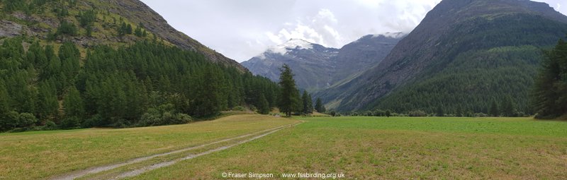 Val-d'Is�re, Savoie, Auvergne-Rh�ne-Alpes, France � Fraser Simpson
