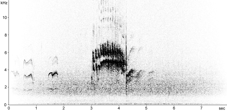 Sonogram of Blackbird alarm call