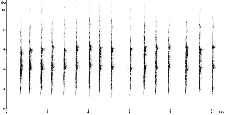 Sonogram of Blackbird alarm call