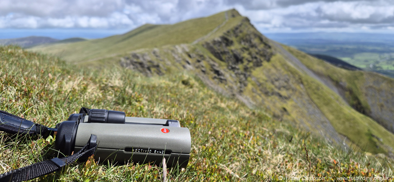 Saddleback/Blencathra Hll � Fraser Simpson 2026