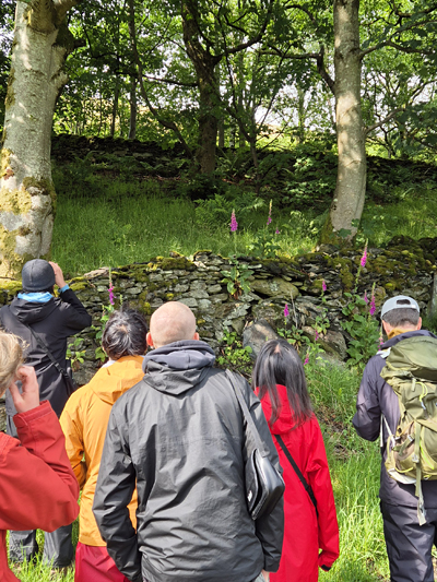 Territory Mapping Method � Fraser Simpson 