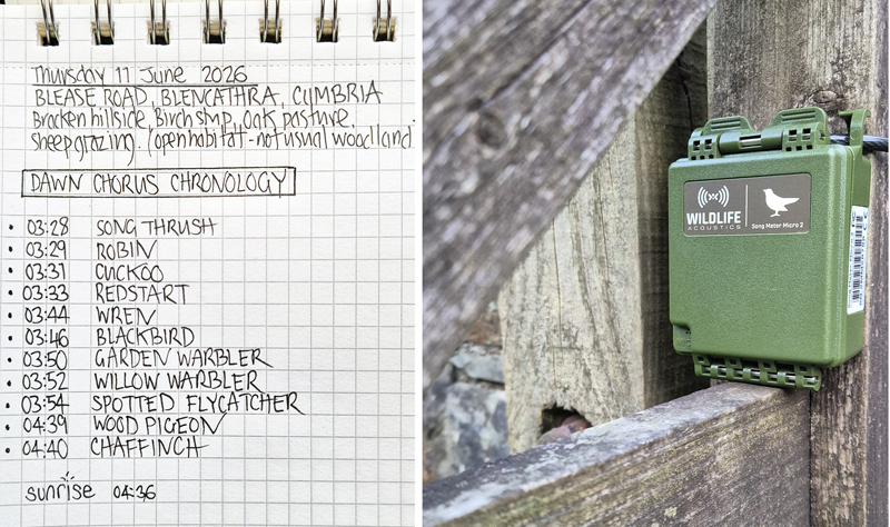 Blencathra Dawn Chorus Chronology & Song Meter Micro 2
