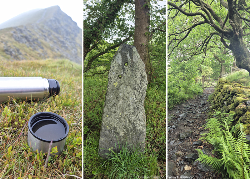 Blencathra views  � Fraser Simpson 2025