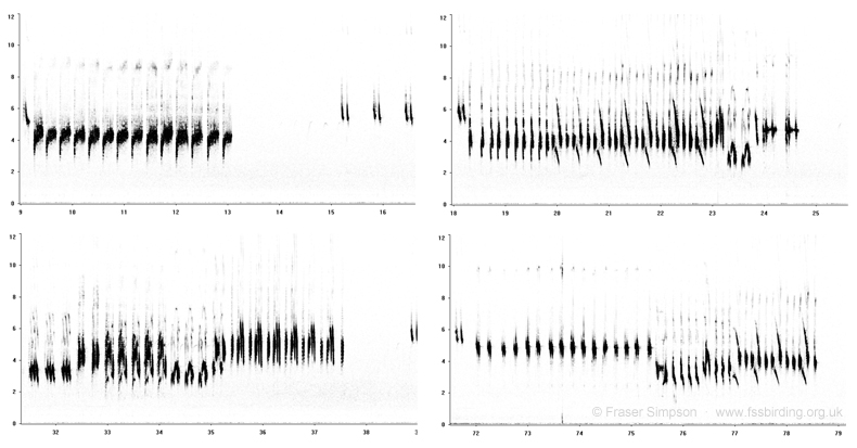 Sonograms of Bluethroat repertoire