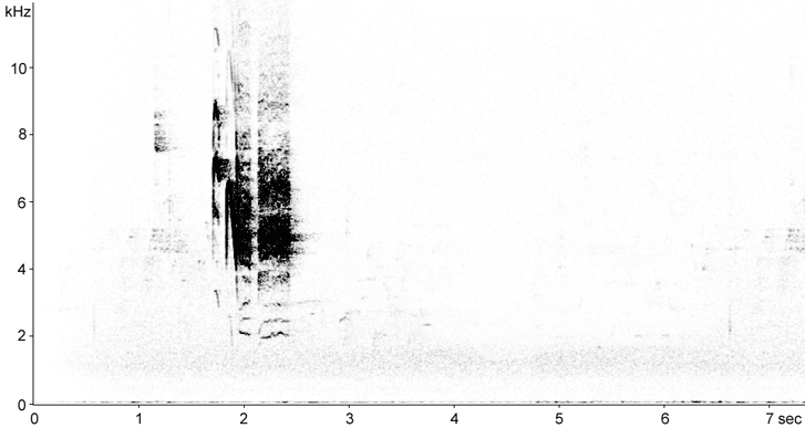 Sonogram of Boreal Chickadee calls