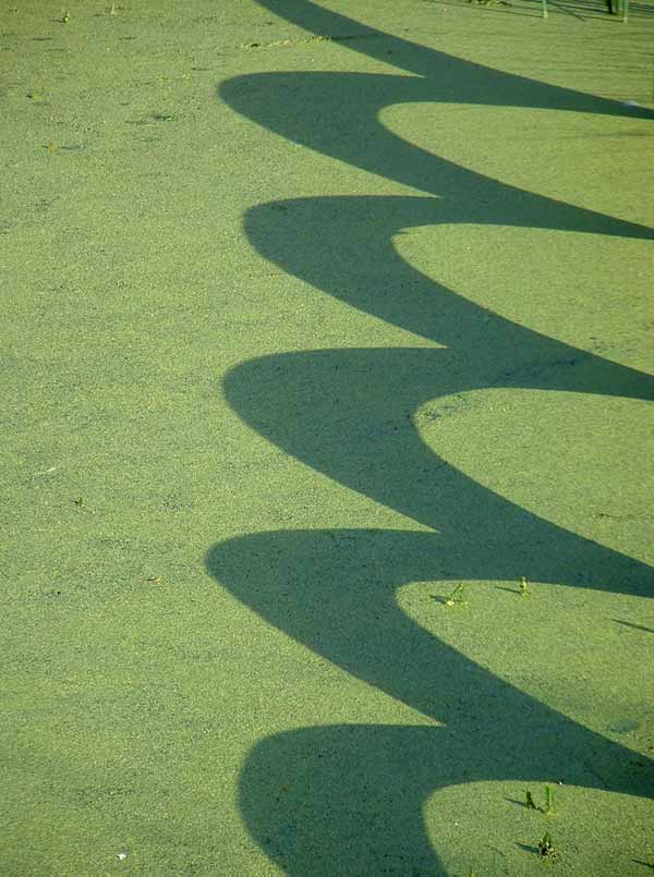 � 2004, Fraser Simpson