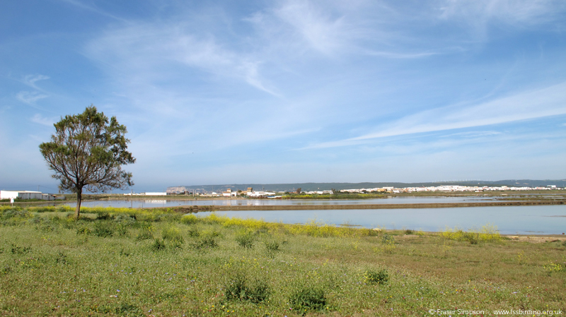 Marismas del Barbate � Fraser Simpson