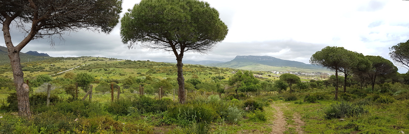Duna de Bolonia � Fraser Simpson
