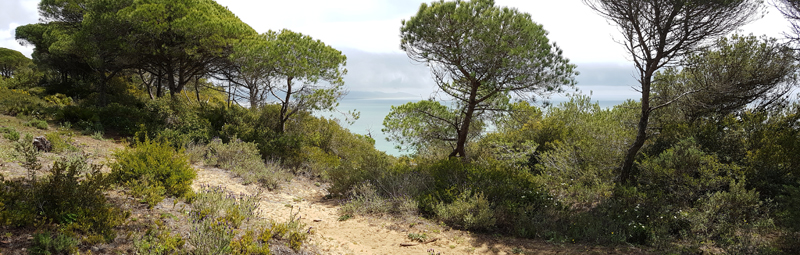 La Bre�a de Barbate � Fraser Simpson