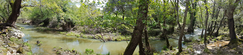 Arroyo del Tiradero, Valle de Oj�n � Fraser Simpson