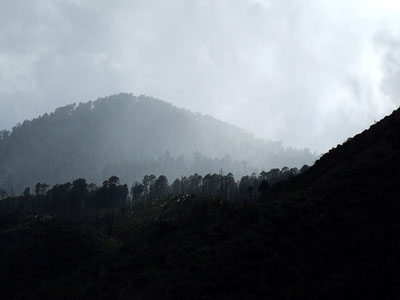 Chiricahua Mountains � 2006, Fraser Simpson