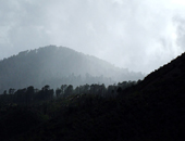 Chiricahua Mountains