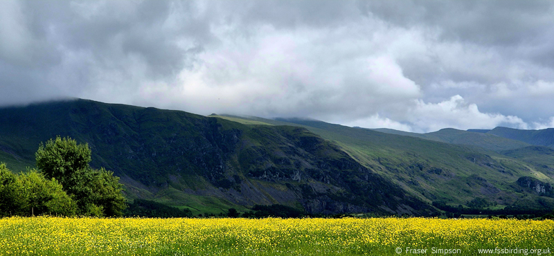 View of Wanthwaite Crags on Clough Head � Fraser Simpson 2026