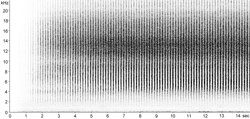 Sonogram of Club-legged Grasshopper stridulation