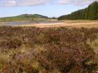Coreshouse Reservoir