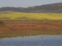 Marismas de Barbate & Sierra de Retin