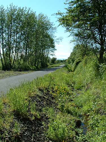 Point 3. Old cutting: Warblers, Goldfinch, Song Thrush, Snipe, etc. (Knockentiber-Springside disused railway line)  Fraser Simpson