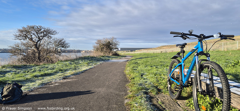 � Fraser Simpson  �  www.fssbirding.org.uk