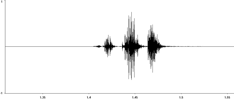 Oscillogram of Dark Bush-cricket stridulation