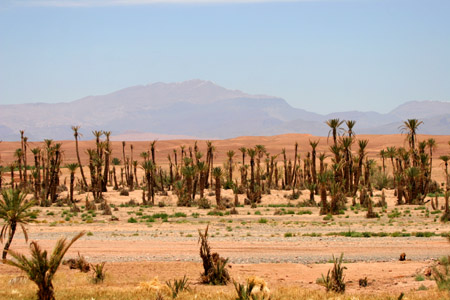 Vallee du Dades, Morocco � 2007, Fraser Simpson