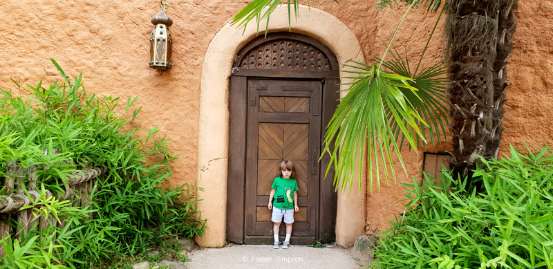 Disneyland Paris � Fraser Simpson