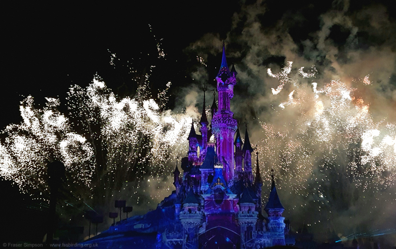 Fireworks, Disneyland Paris � Fraser Simpson