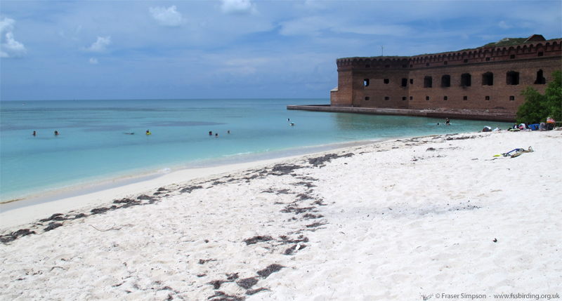 Azure sea, white sand, 16 million bricks � Fraser Simpson 2015