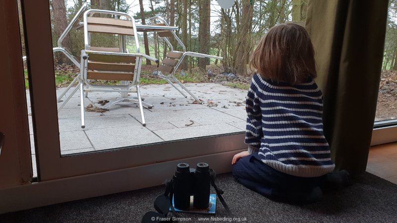 Wildlife observation from our lodge, Elveden Forest � Fraser Simpson 