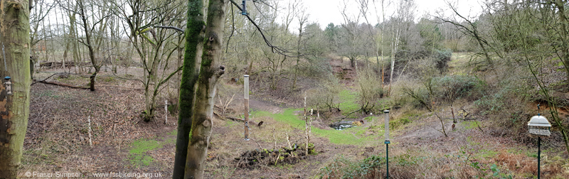 View from the Wildlife Observation Hide, Elveden Forest � Fraser Simpson 