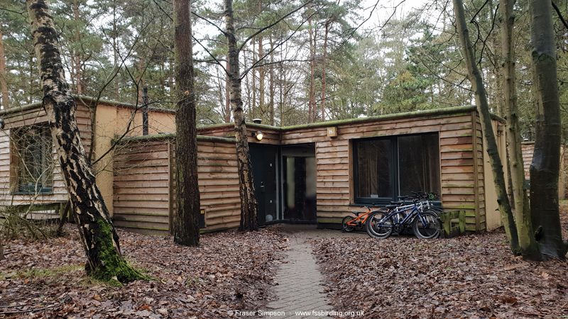 Our lodge in the Pine zone, Center Parcs Elveden Forest, Suffolk  � Fraser Simpson 