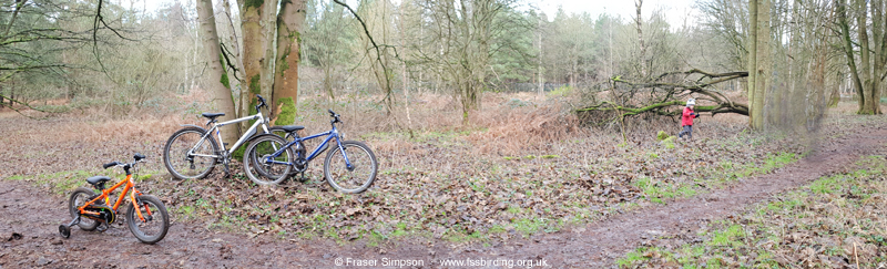 Center Parcs, Elveden Forest, Suffolk � Fraser Simpson 
