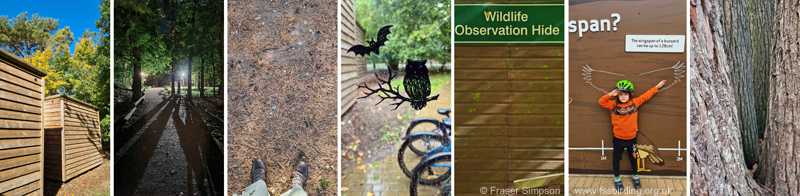 Center Parcs, Elveden Forest  Fraser Simpson 