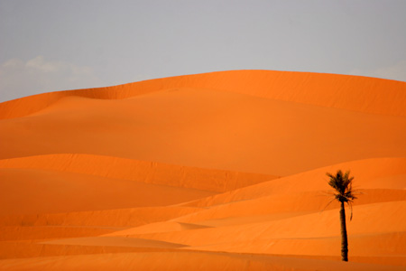 Erg Chebbi, Morocco � 2007, Fraser Simpson