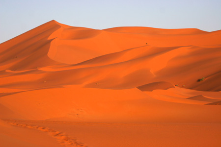 Erg Chebbi, Morocco � 2007, Fraser Simpson