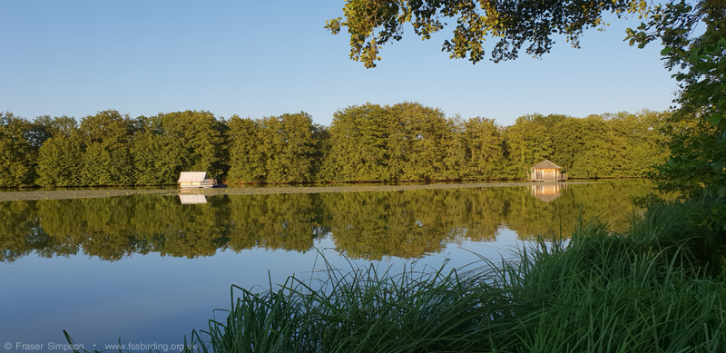 Etang du Moulin � Fraser Simpson