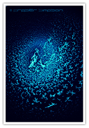 excerpt280710028 � 2010 Fraser Simpson